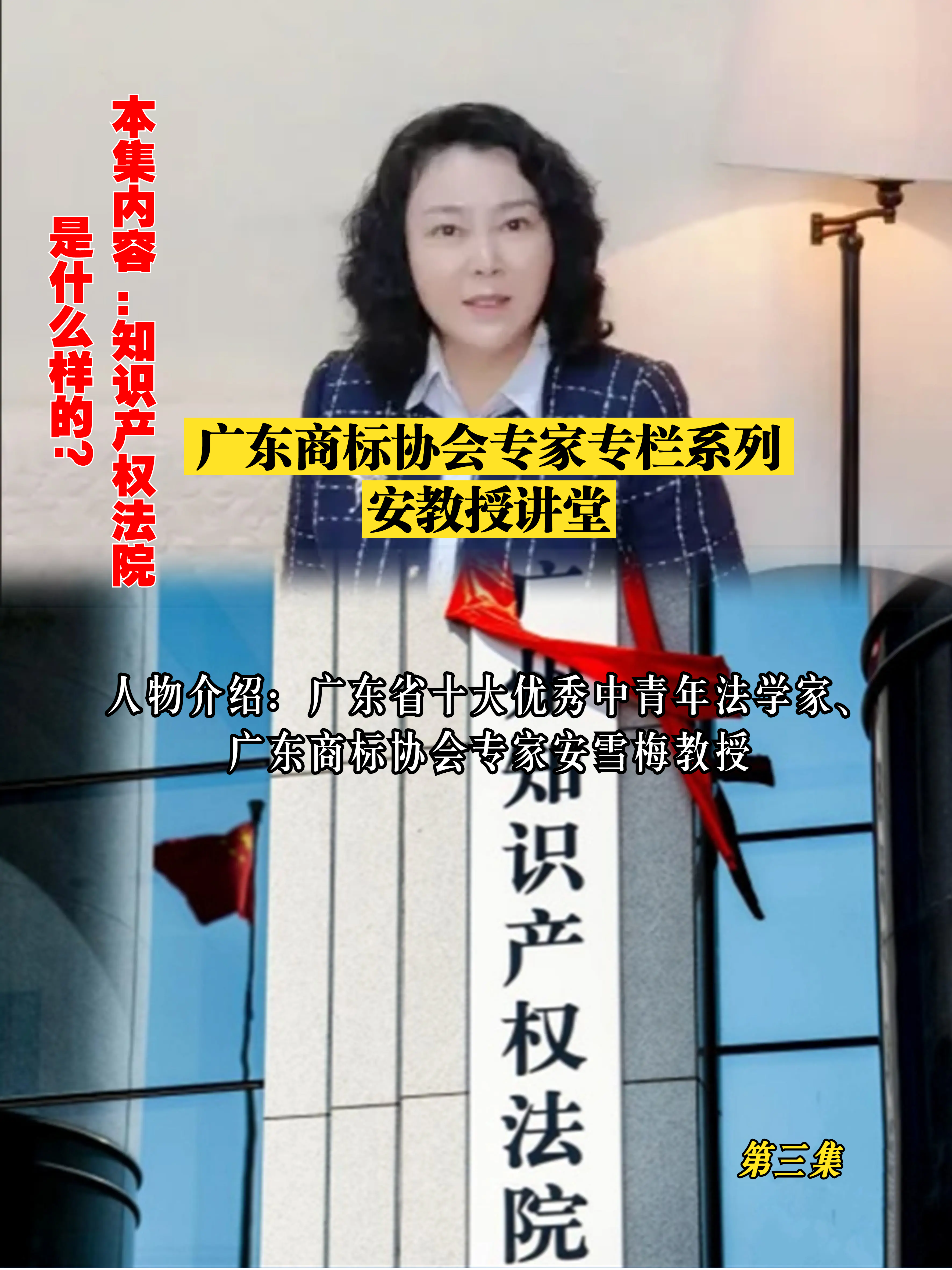 【专家栏目】安雪梅——知识产权法院是什么样的?（第三集）